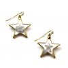 Small Star Mother of Pearl Earrings-0