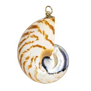 Large Nautilus Shell Charm
